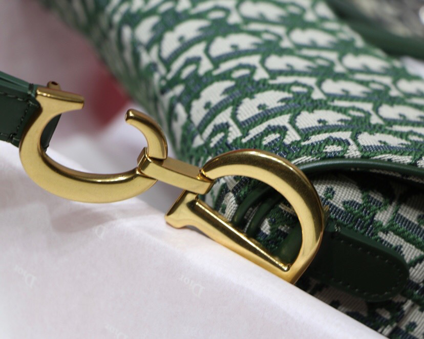 D10r Oblique Jacquard Canvas Calfskin leather Saddle Large Bag in Green