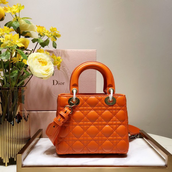 D10r Lady D10r Leather Orange Handbag 20CM