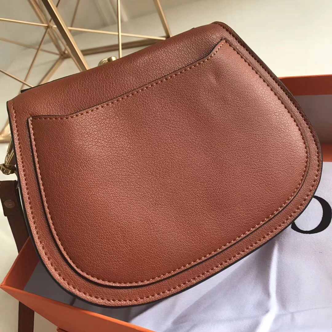 Chloe Medium Nile Bracelet Leather Crossbody Bag in Brown