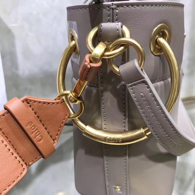 Chloe mini roy bucket bag in Gray
