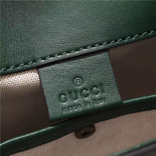 Gvc*1 Original Canvas Calfskin Shoulder Bag Green 384821
