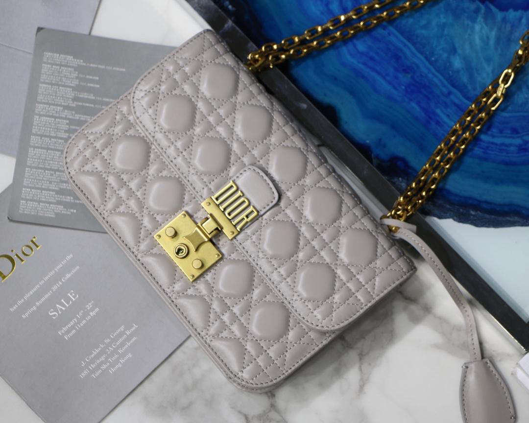 D10r Addict Lambskin retro chain Beige bag