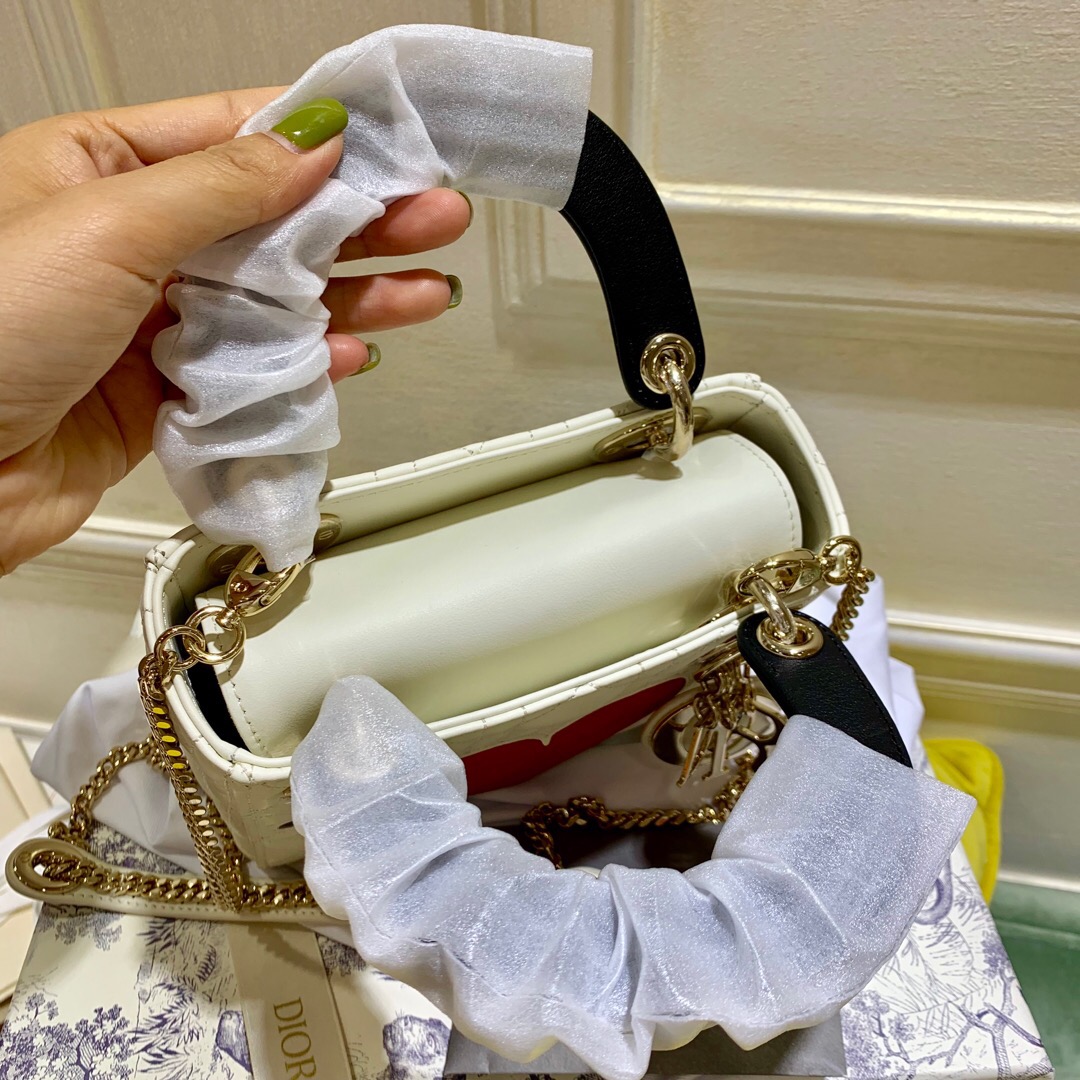 D10r Mini Lady D10r Leather Handbag with Gold Hardware 17cm