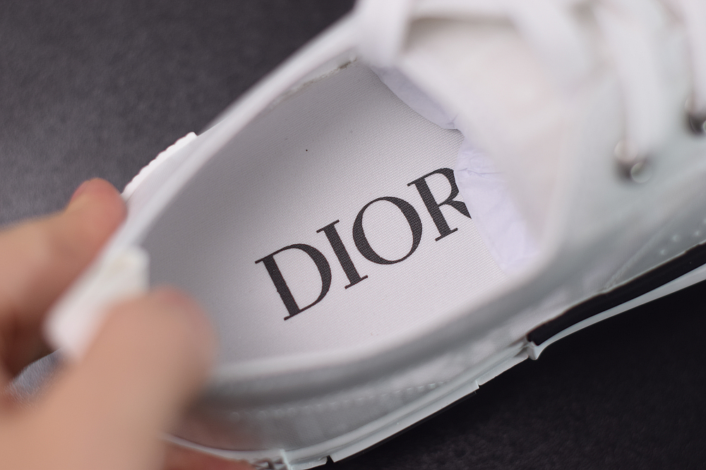 D10r Oblique Sneakers