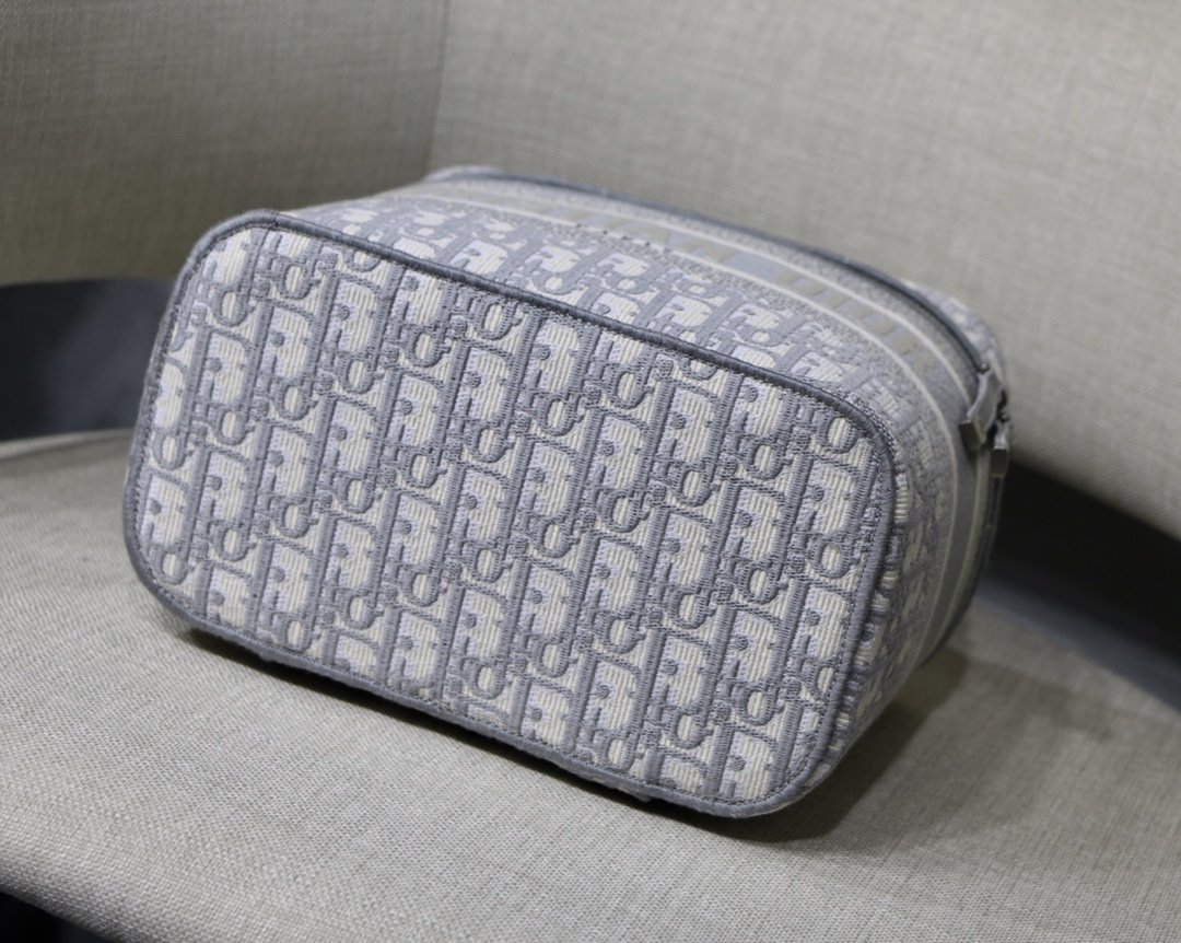 D10r Oblique Cosmetic Bag
