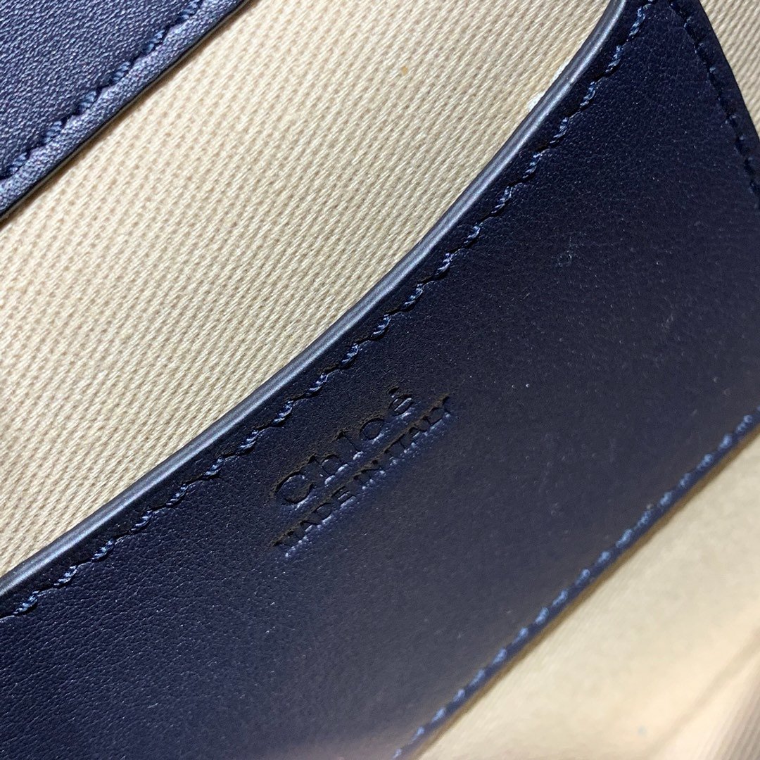 Chloe Nile Nile Bracelet Bag 001