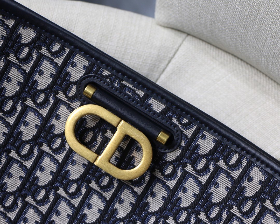 D10r oblique Handbag