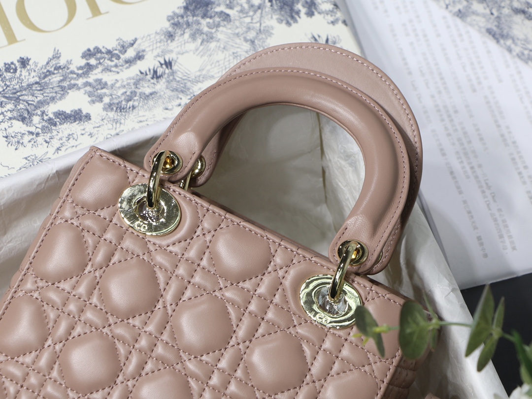 Lady D10r bag 20cm 001
