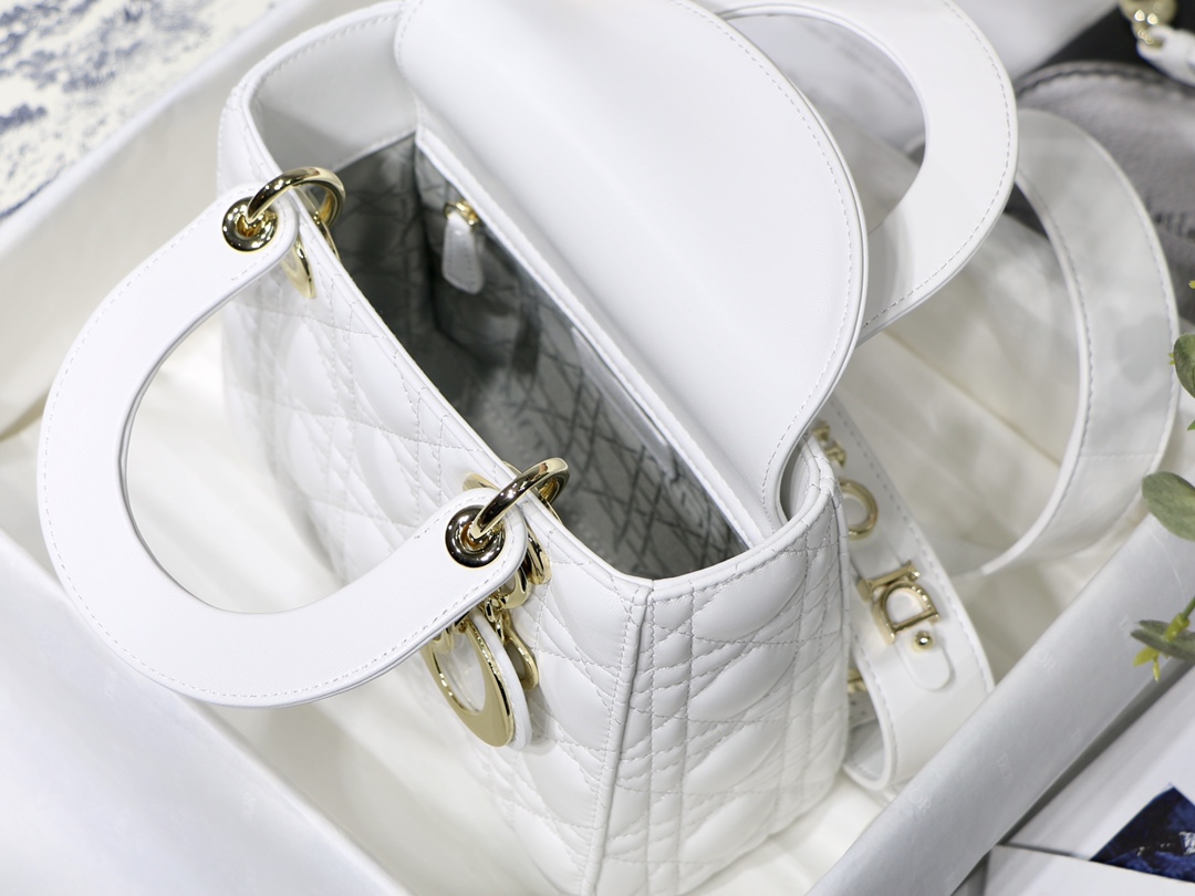Lady D10r bag 20cm 003