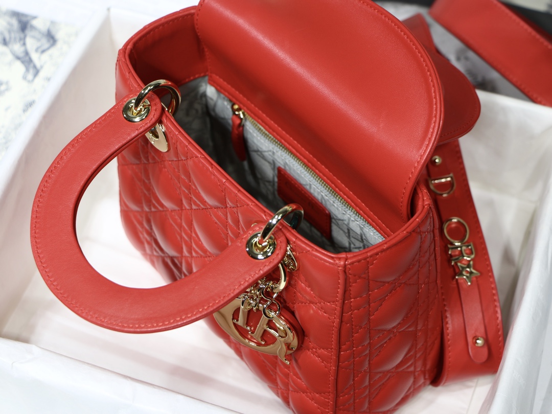 Lady D10r bag 20cm 004