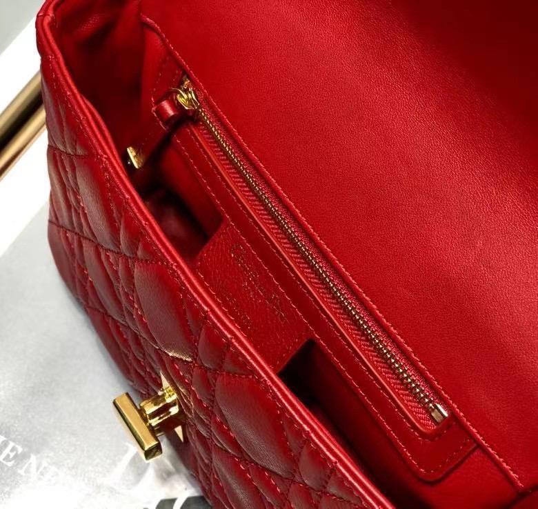 D10r 2021 Caro Bag 20cm 006