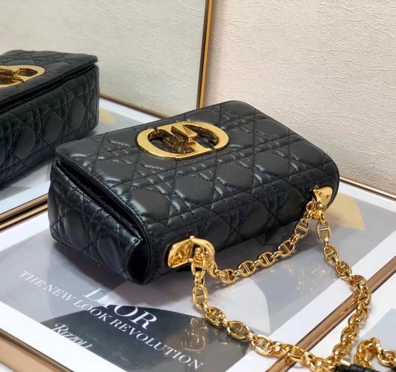 D10r 2021 Caro Bag 20cm 009
