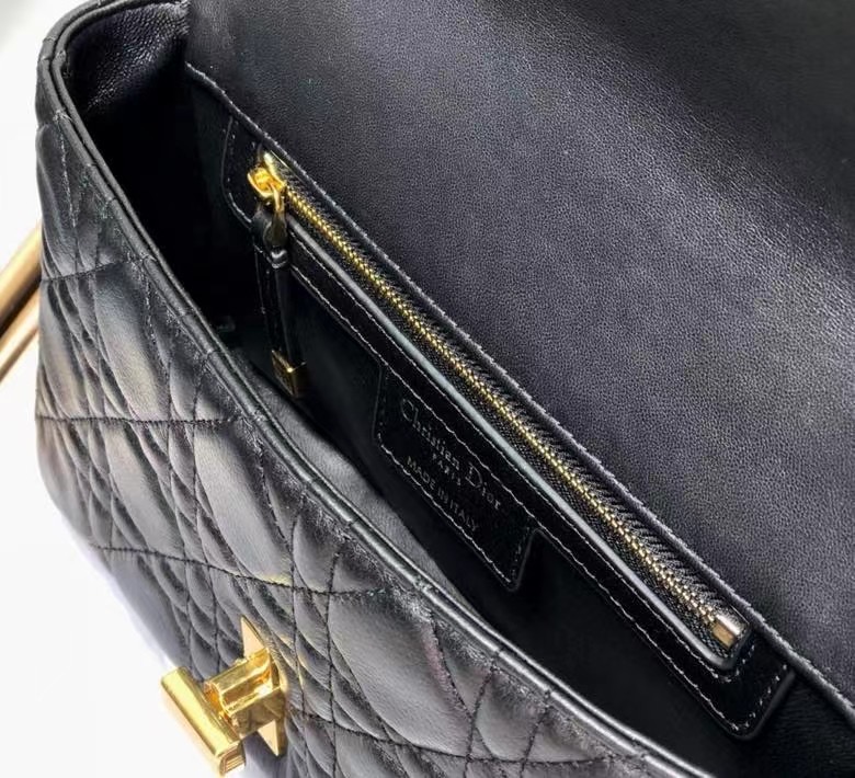 D10r 2021 Caro Bag 20cm 009