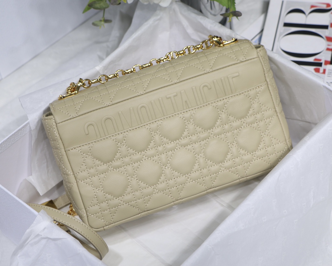 D10r Caro bag 25.5cm