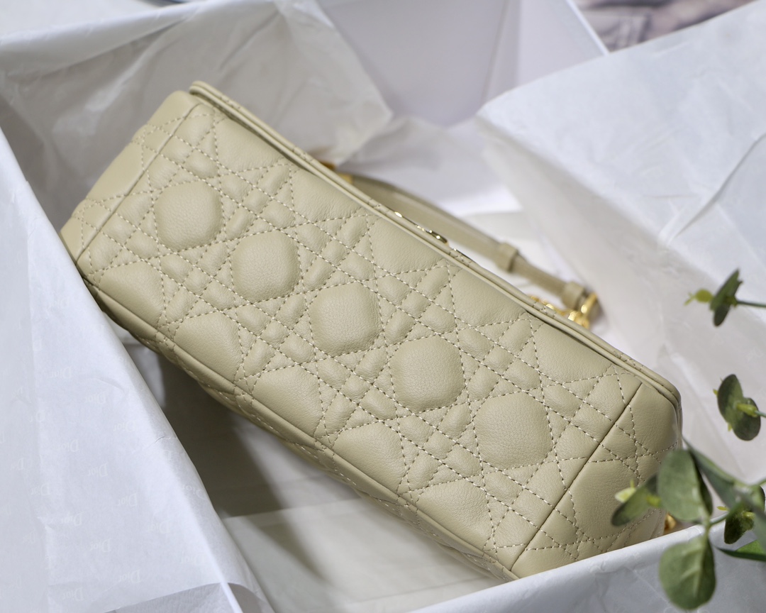 D10r Caro bag 25.5cm