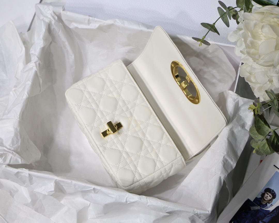 D10r CARO BAG 20cm