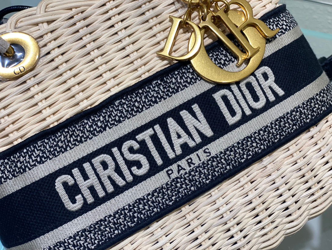 D10r Lady Oblique Bag 24cm
