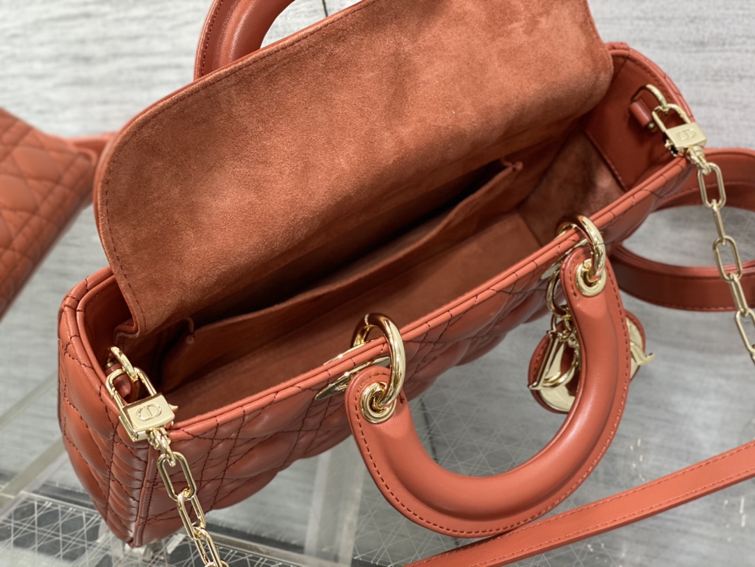 Bagsaaa D10r Lady D - Joy Medium Rusted Colored Bag - 26 x 13.5 x 5 cm