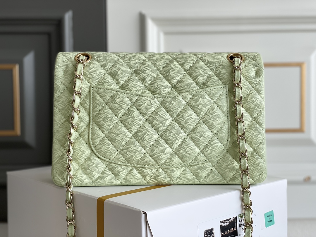 Bagsaaa Ch**el Classic Flap Small Bag in Light Green - 25cm