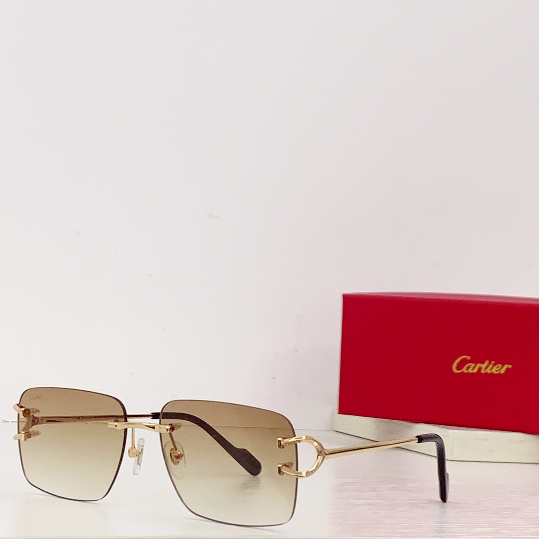 Bagsaaa Ca*t1er C Decor Sunglasses 