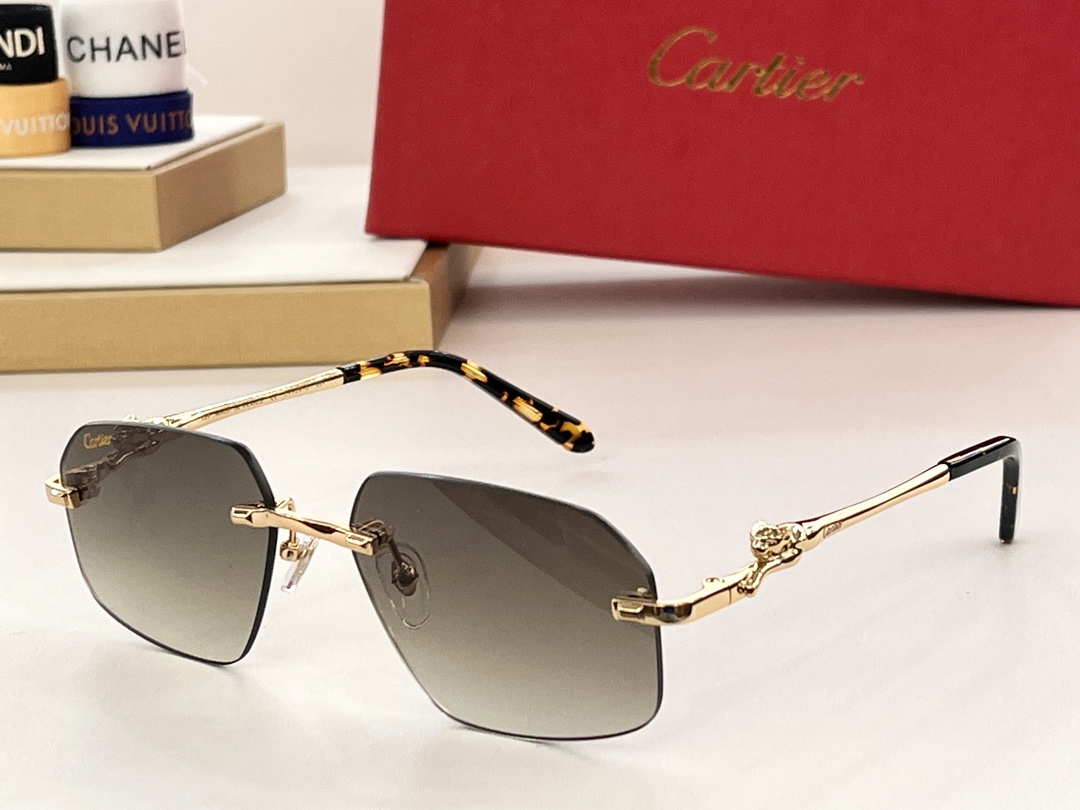 Bagsaaa Ca*t1er Sunglasses CT0281O