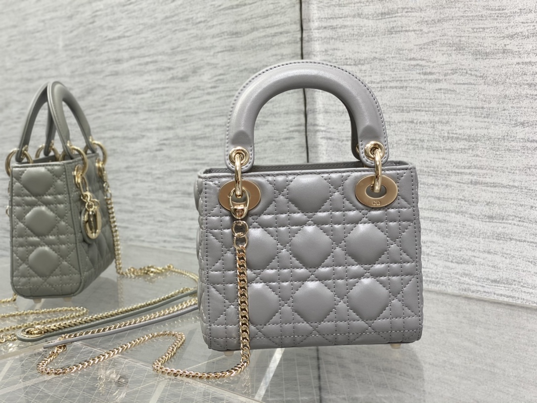 Bagsaaa D10r Lady Mini Grey Bag 17cm