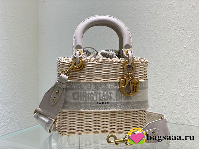 D10r Lady Oblique Bag 24cm 03