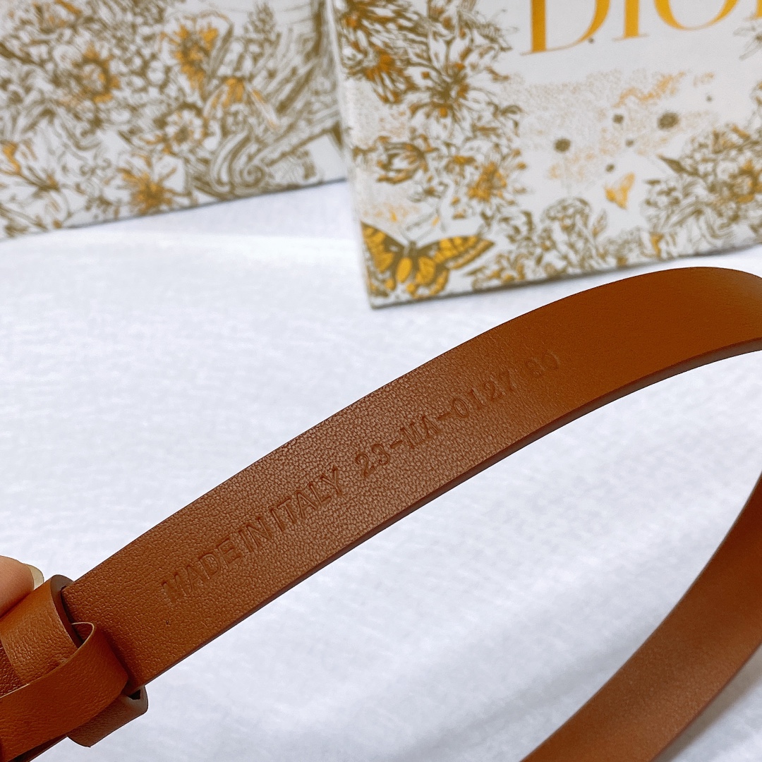 Bagsaaa D10r Montaigne CD Brown Belt 2cm