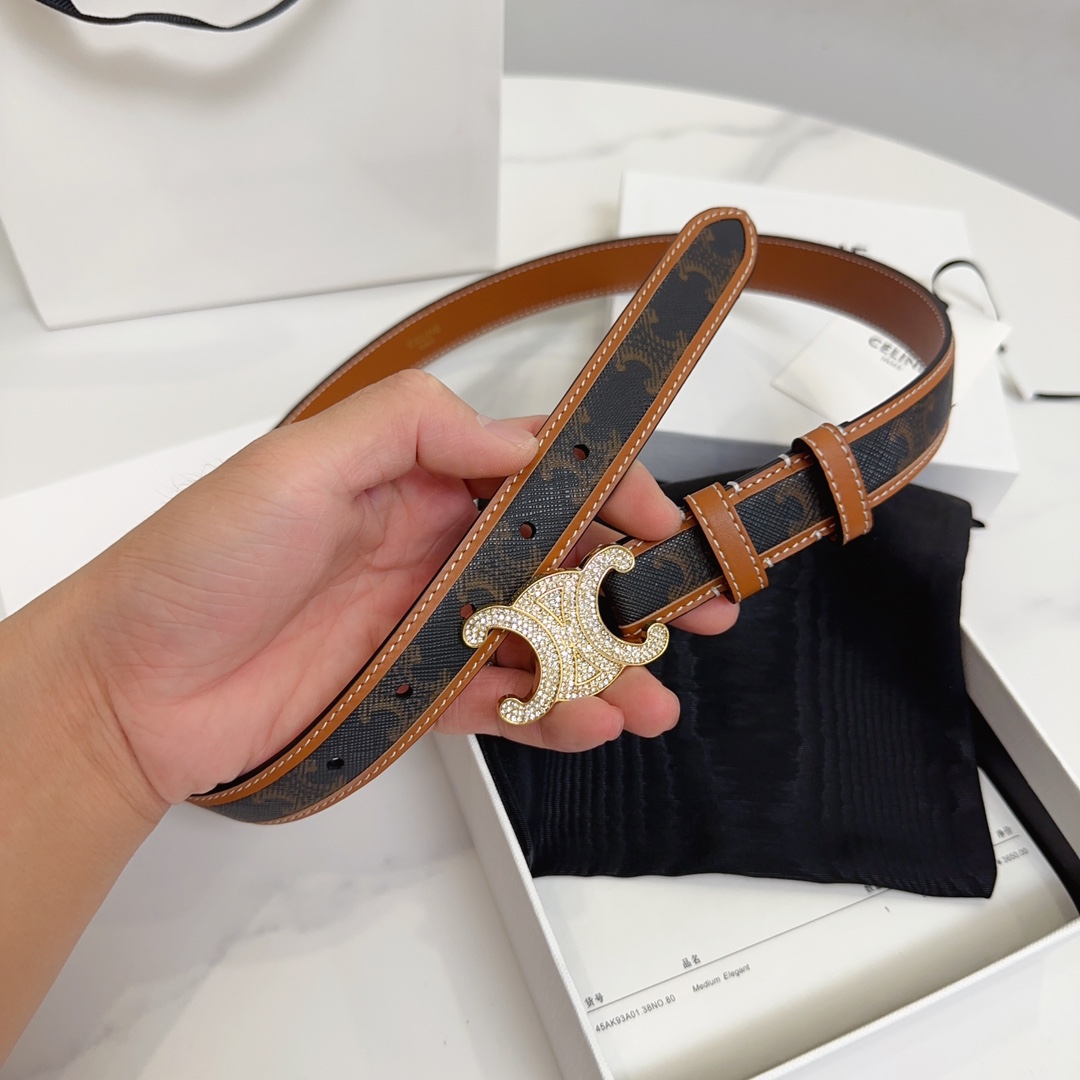 BAGSAAA Ce1i*e MEDIUM WITH BORDER TRIOMPHE BELT IN CRYSTAL TRIOMPHE CANVAS AND CALFSKIN TAN 