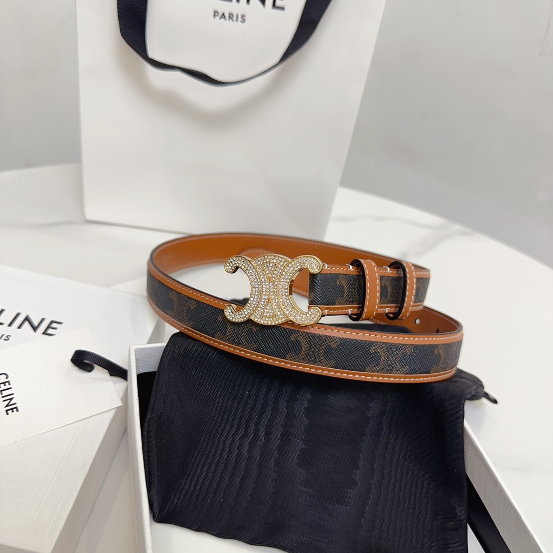 BAGSAAA Ce1i*e MEDIUM WITH BORDER TRIOMPHE BELT IN CRYSTAL TRIOMPHE CANVAS AND CALFSKIN TAN 