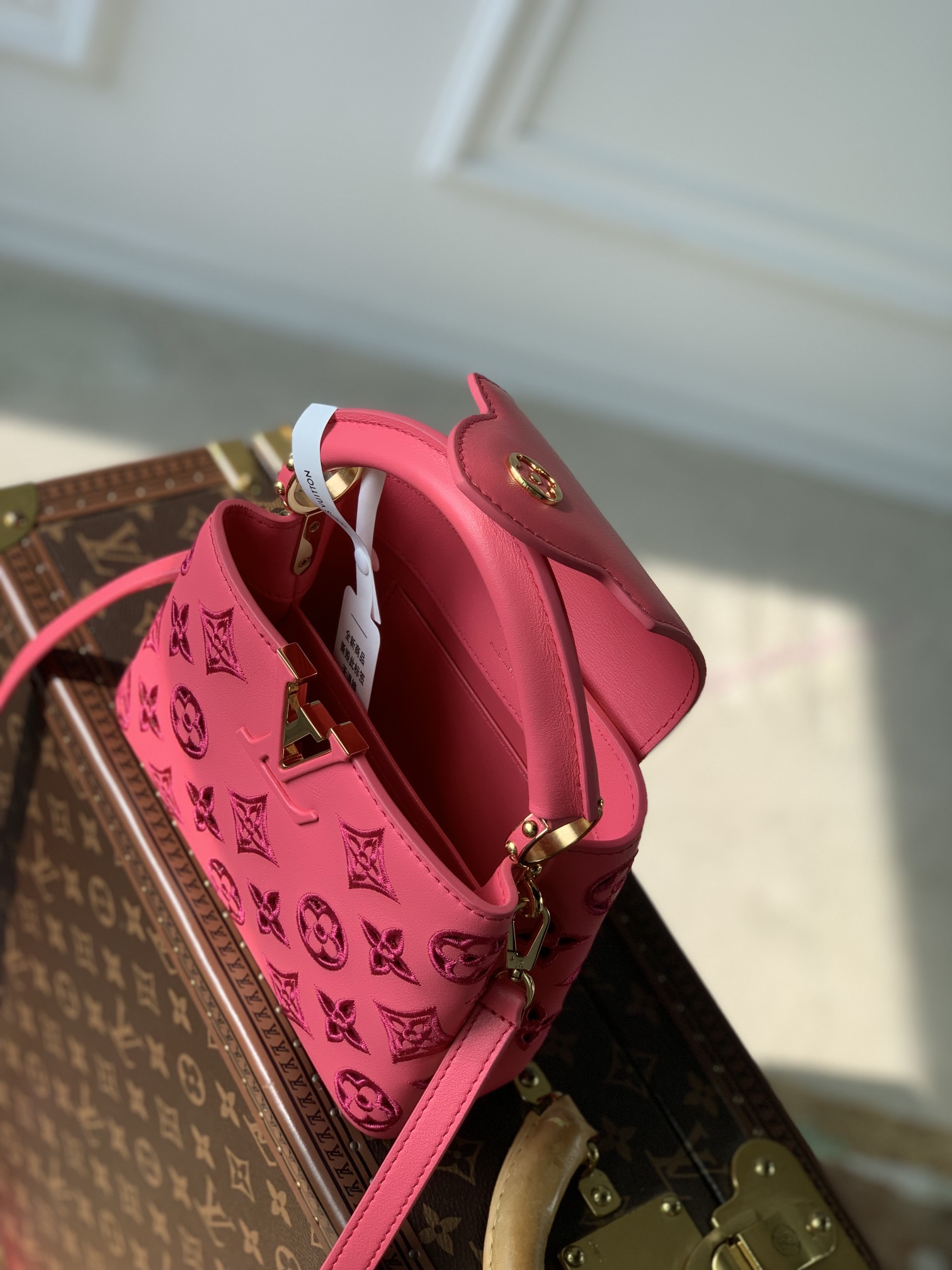 Bagsaaa L0vis Vvtt0n Capucines Mini Dark Pink Monogram - 21x14x8cm