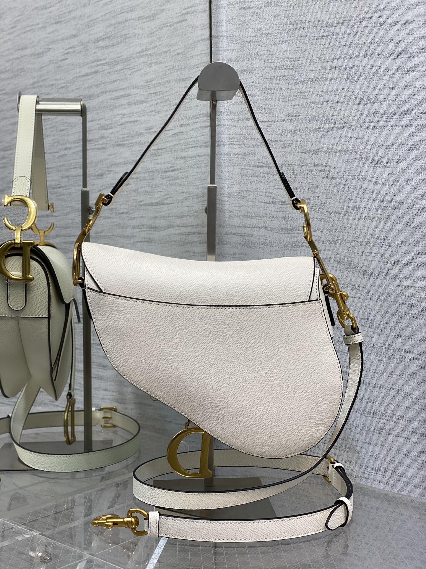 Bagsaaa D10r Saddle White Bag - 25.5x20x6.5cm