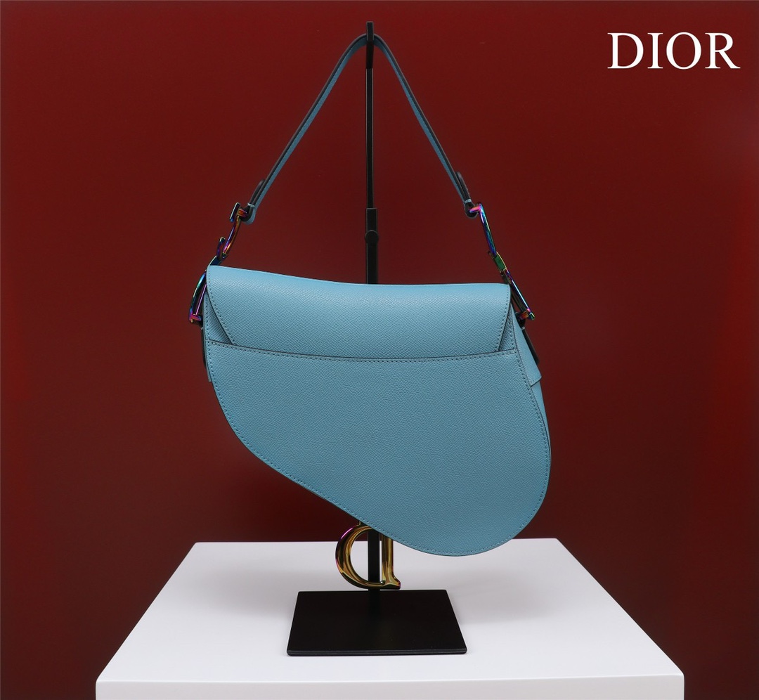 Bagsaaa D10r Saddle Blue Leather and coloful harrdware - 25.5 x 20 x 6.5 cm 