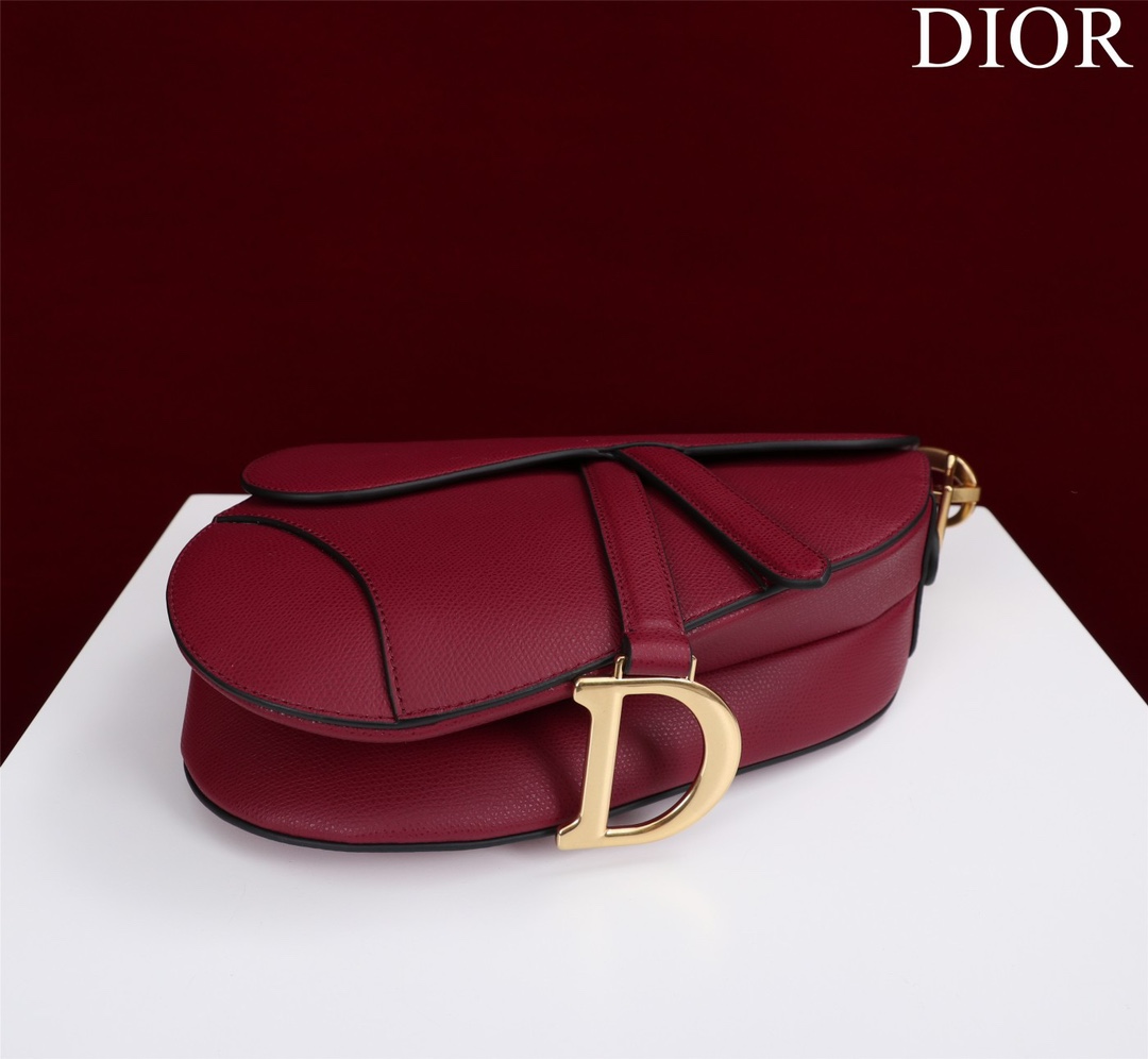Bagsaaa D10r Saddle Burrgundy Leather and coloful harrdware - 25.5 x 20 x 6.5 cm