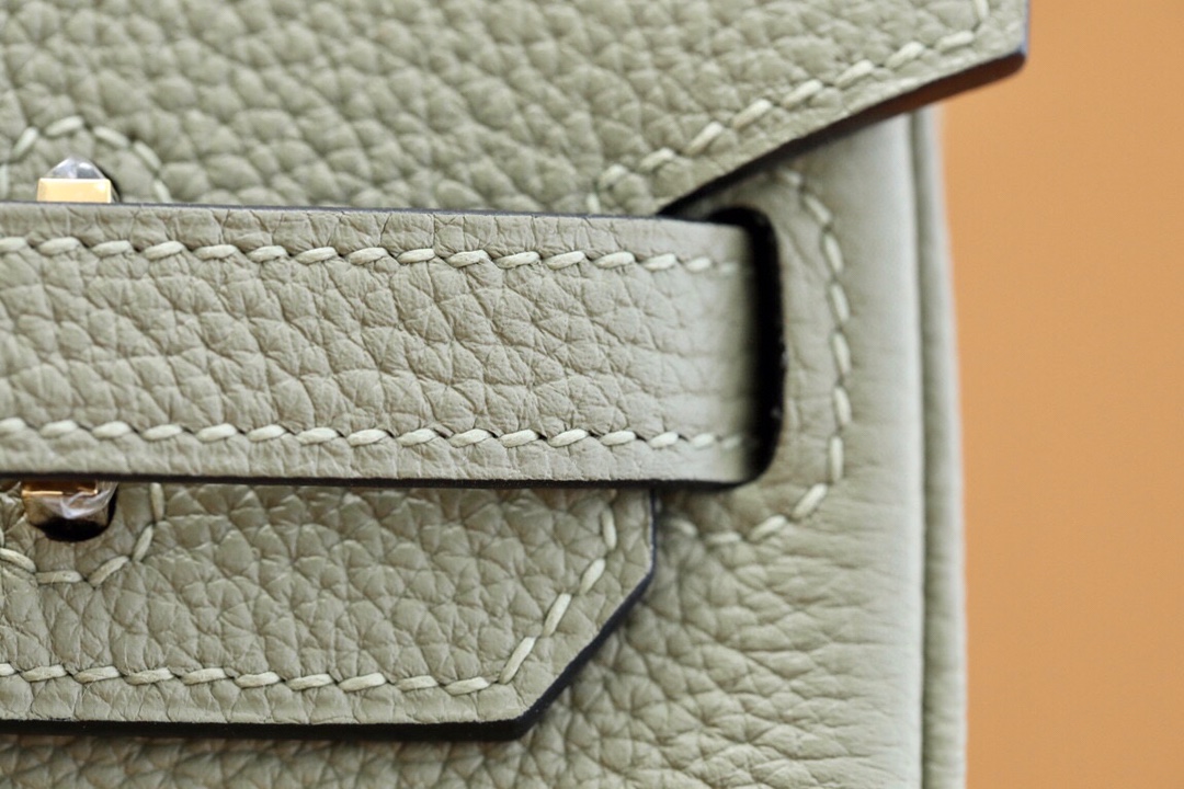 Bagsaaa H**me5 Birkin 25 in Togo Leather Green