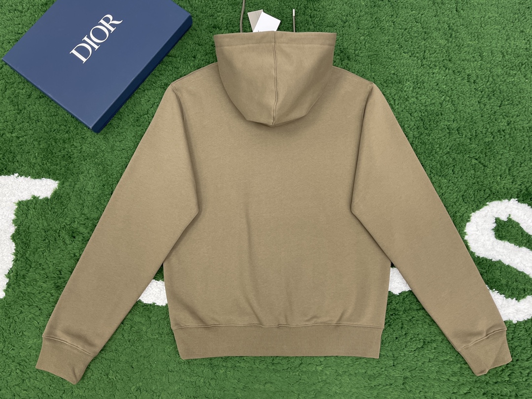 Bagsaaa D10r CD Hoodie Brown
