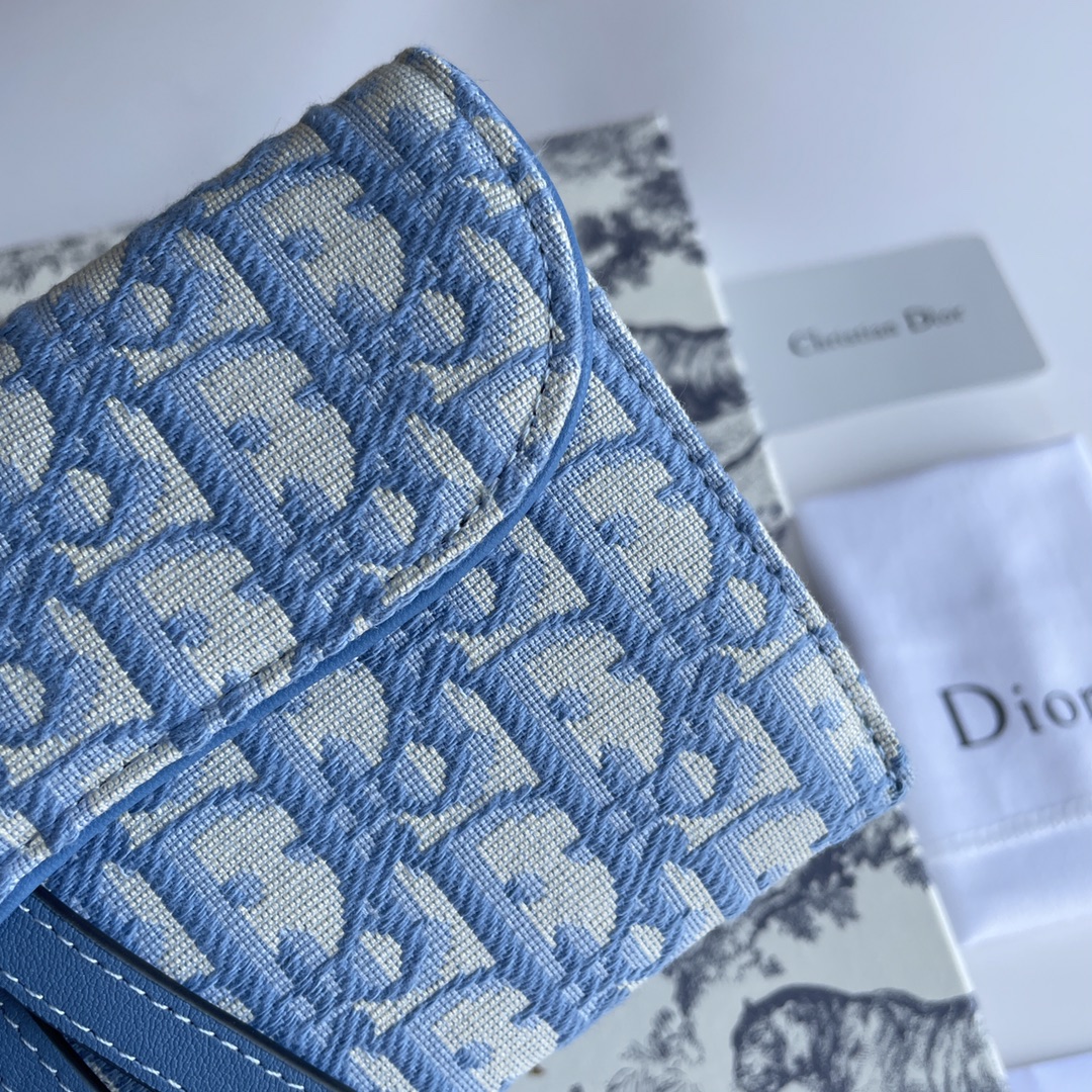Bagsaaa D10r Saddle Oblique Blue Chain Wallet - 19*11*2.5