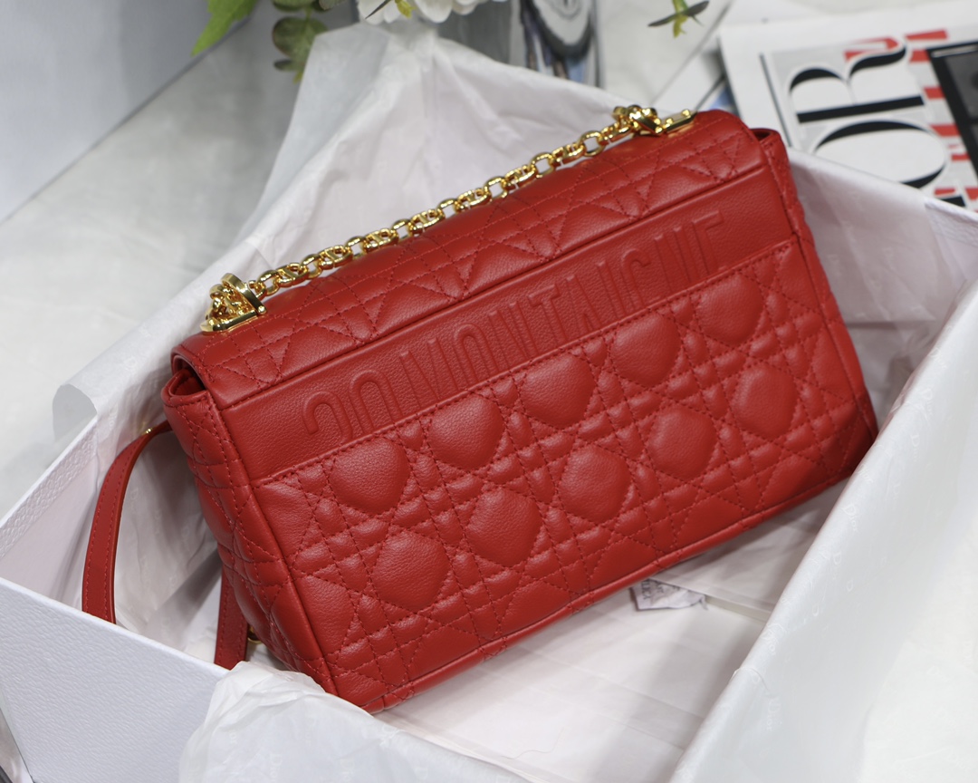 Bagsaaa D10r Medium Caro Red - 25.5 x 15.5 x 8 cm