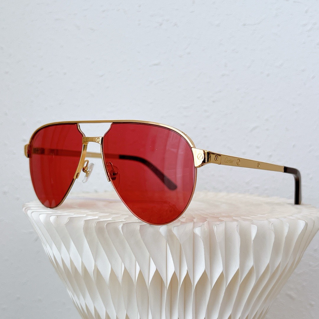 Bagsaaa Ca*t1er Sunglasses