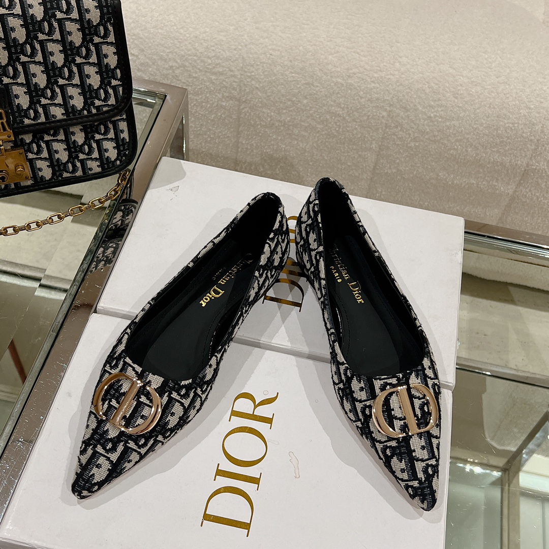 Bagsaaa D10r Oblique Flat Shoes Blue