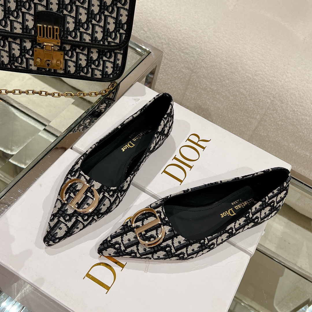 Bagsaaa D10r Oblique Flat Shoes Blue
