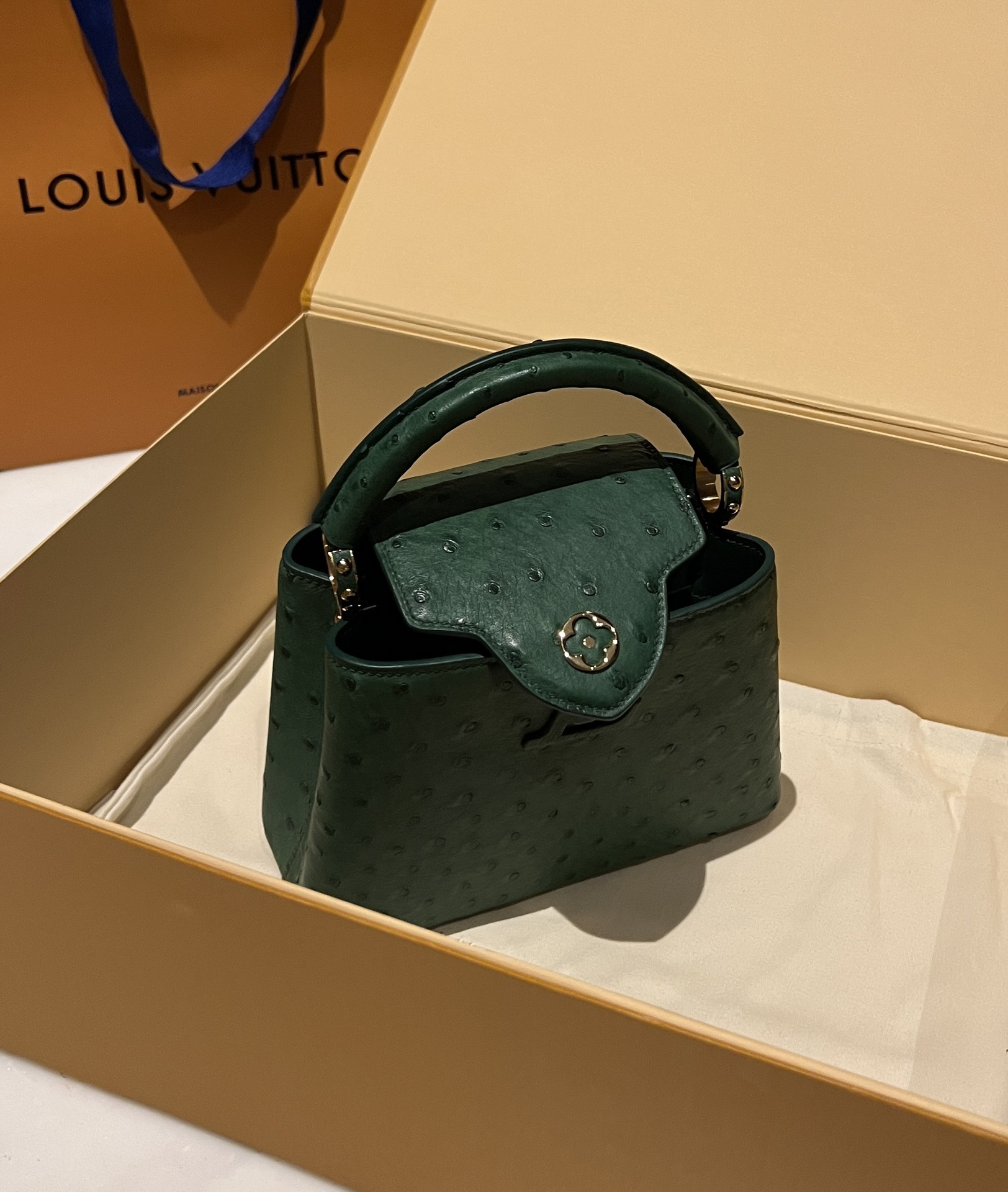 Bagsaaa L0vis Vvtt0n Capucines Ostrich Leather Blue 