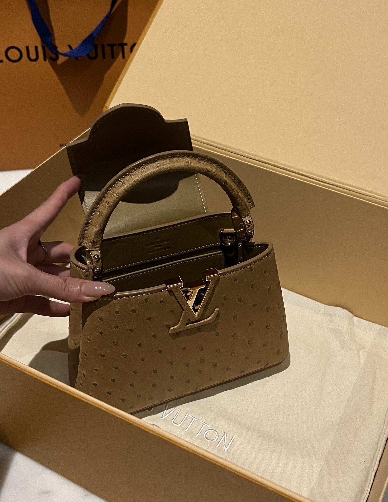 Bagsaaa L0vis Vvtt0n Capucines Ostrich Leather Brown