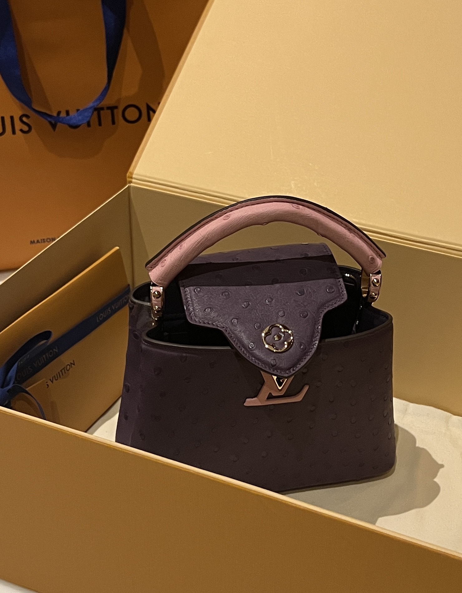 Bagsaaa L0vis Vvtt0n Capucines Ostrich Leather Purple & Pink