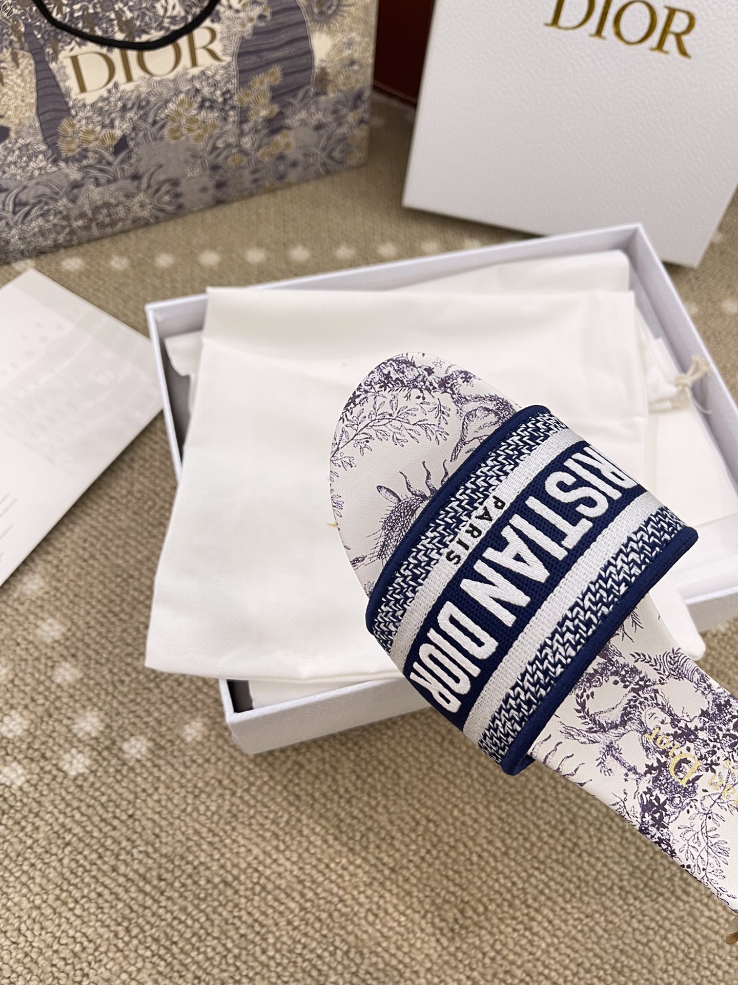 Bagsaaa D10r Dway Slide Embroidered Cotton and White and Blue Toile de Jouy Soleil Motif