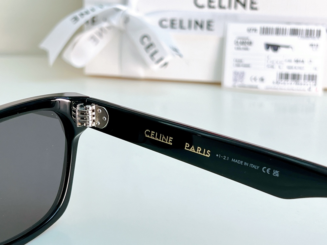Bagsaaa Ce1i*e Black Frame 45 Sunglasses in Acetate
