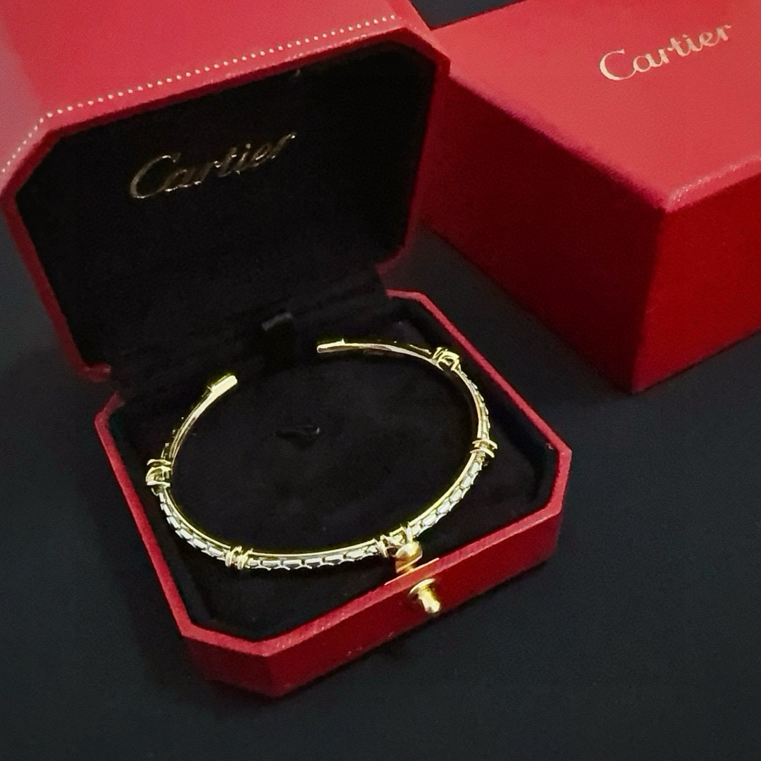 Bagsaaa Ca*t1er Bracelet 10