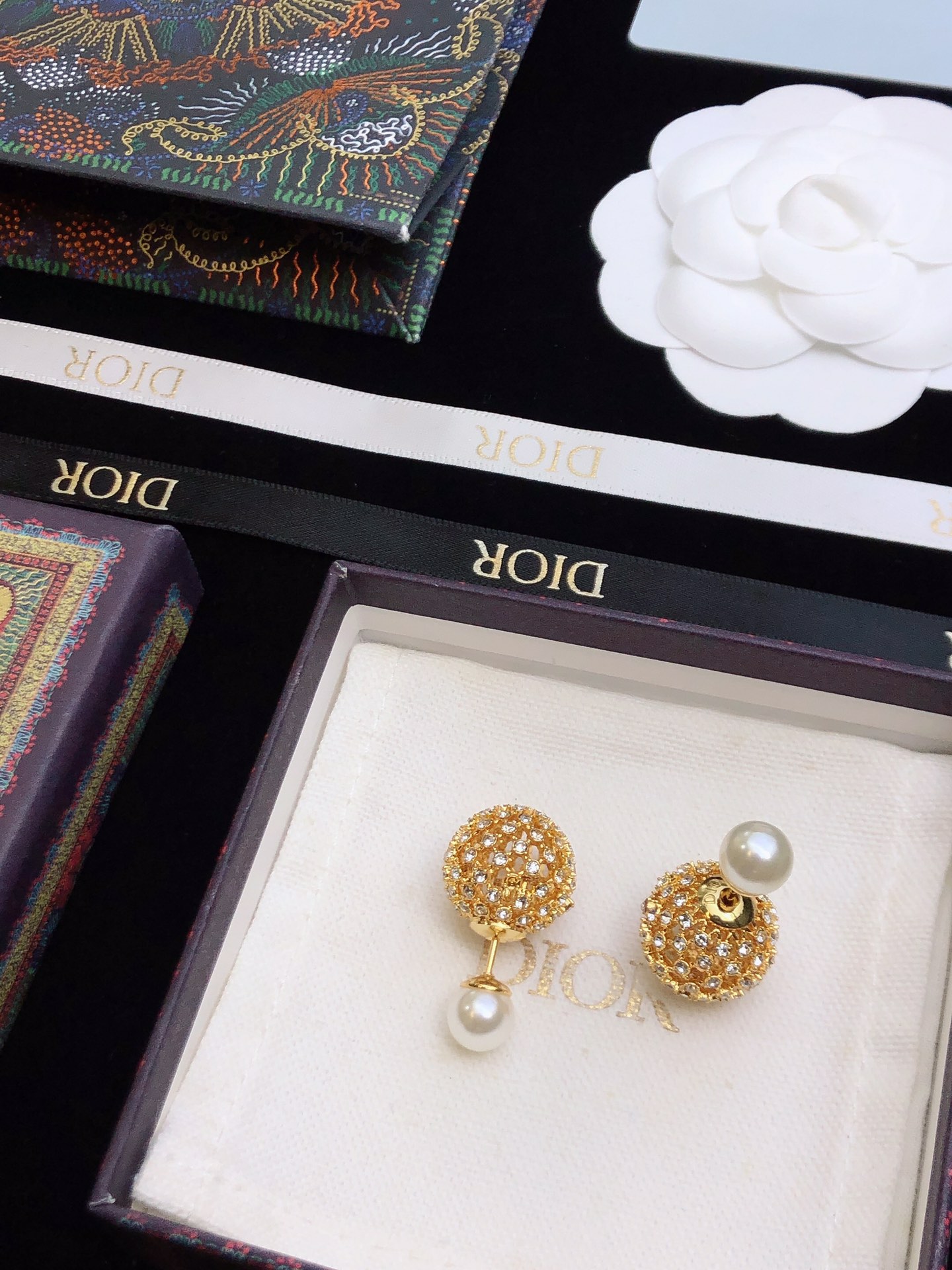 Bagsaaa D10r Earrings 19