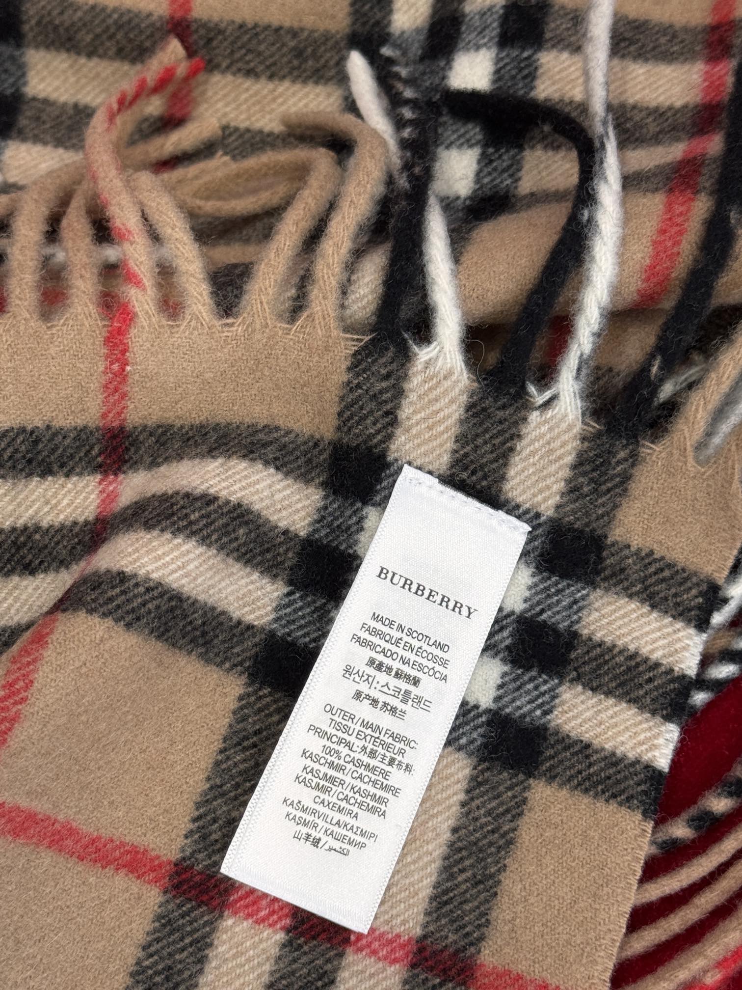 Bagsaaa Bv*b*rry Scarf (1)