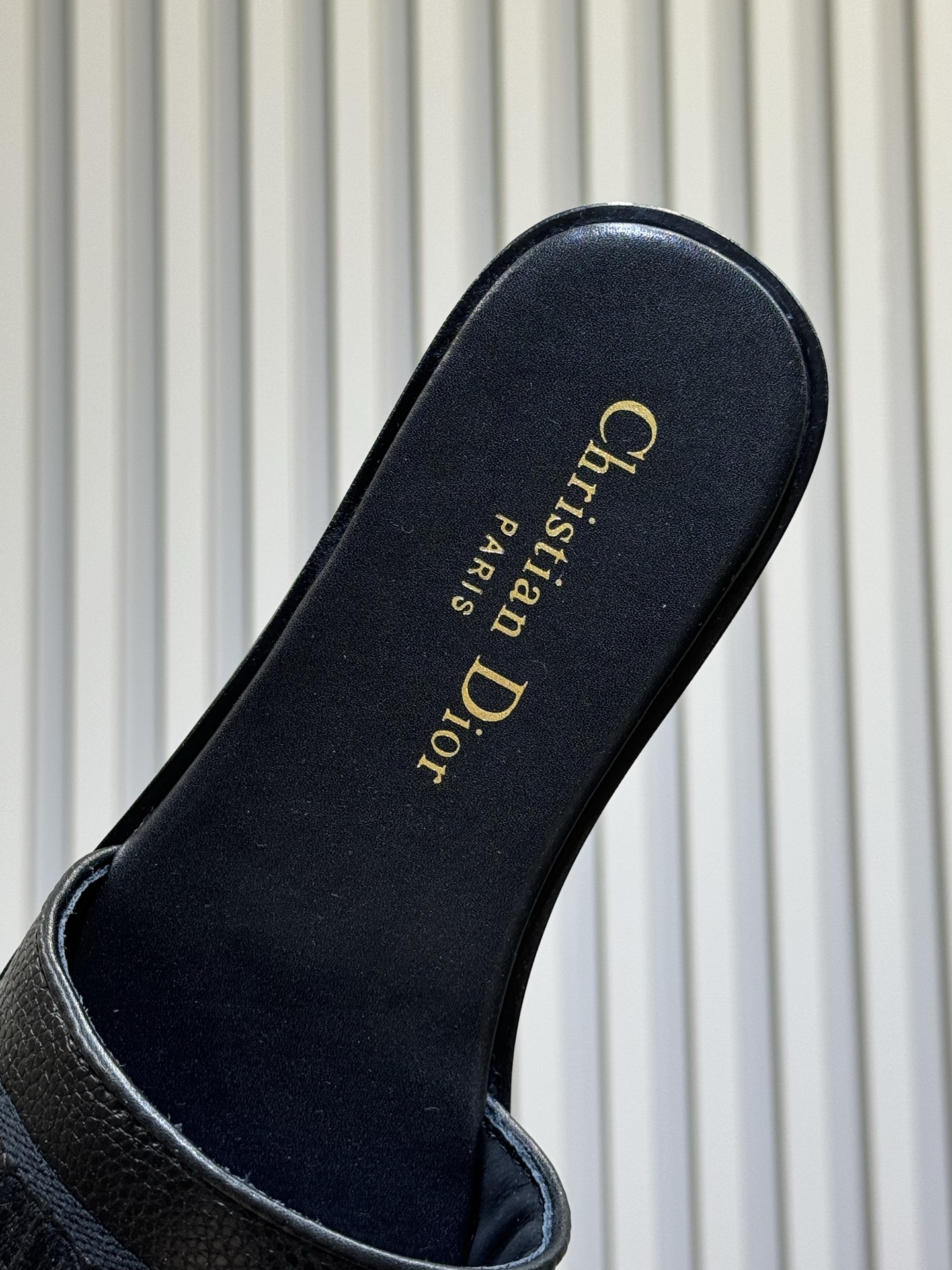 Bagsaaa D10r Dway Slide Black Grained Calfskin